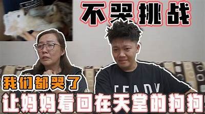 《妈妈不哭》电影在线观看：免费观看完整剧情与感人故事分享